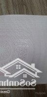 Đón Sóng Vin Cùng Siêu Phẩm Đại Đồng