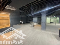Siêu Phẩm Văn Phòng 500M2 Đẹp Y Ảnh View Triệu Đô Công Viên Cầu Giấy
