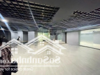 Siêu Phẩm Văn Phòng 500M2 Đẹp Y Ảnh View Triệu Đô Công Viên Cầu Giấy