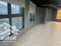 Siêu Phẩm Văn Phòng 500M2 Đẹp Y Ảnh View Triệu Đô Công Viên Cầu Giấy