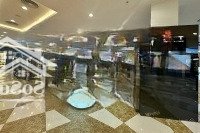 Cho Thuê Mặt Bằng Kinh Doanh Showrom Tại Ngô Quyền Hoàn Kiếm Mặt Tiền 20M Liên Hệ: 0913319386