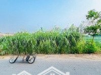 Bán Đất Tại Nguyễn Thị Thạo, Phước Hiệp, Củ Chi, 2,35 Tỷ, 296 M2 Thổ Cư. Giá Bán 2 Tỷ 350 Triệu.