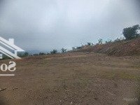 Bán Dự Án Nhà Máy Sản Xuất Bao Bì Tại Lương Sơn - Hoà Bình