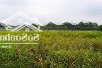 Bán 2000M2 Đất Nhà Xưởng Cụm Cn Ninh Hiệp, Gia Lâm, Hn