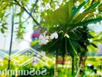 Kẹt Tiền Bán Gấp Căn Nhà Phố 3 Tầng 157M2, Cách Tthc Tỉnh Bình Dương, Chỉ 2,89 Tỷ