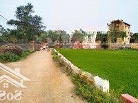 Siêu Phẩm View Cánh Đồng Đẹp Đứng Ở Đất Nhìn Ra Đường Tỉnh Lộ Tại Thôn 6-Ba Trại-Ba Vì-Hà Nội