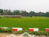 Siêu Phẩm View Cánh Đồng Đẹp Đứng Ở Đất Nhìn Ra Đường Tỉnh Lộ Tại Thôn 6-Ba Trại-Ba Vì-Hà Nội