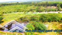 Cần Bán 2.4 Hecta Đã Lên Thổ 800M2 Mặt Tiền Đường Nhựa 101 Nam Lộ Ngay Quốc Lộ 20 Định Quán