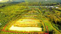 Cần Bán 2.4 Hecta Đã Lên Thổ 800M2 Mặt Tiền Đường Nhựa 101 Nam Lộ Ngay Quốc Lộ 20 Định Quán