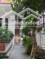 Hàng Nét Giá Đầu Tưmặt Tiềndương Đình Nghệdiện Tíchkhủng 384M Ngang Hơn 11M - Phố Hàn Quốc Trục Thông Biển