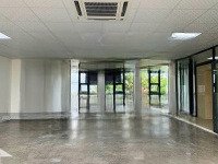 Tòa Nhà Khu K300 12X20M Hầm Trệt 4 Lầu Cho Thuê