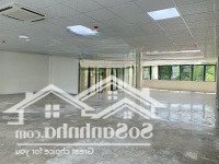 Tòa Nhà Khu K300 12X20M Hầm Trệt 4 Lầu Cho Thuê