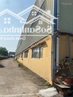 Cho Thuê Kho 1000M2 Tại Quận 2