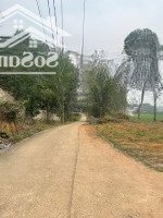 Bán Đất 102M2, 550 Triệu Tại Tiên Kiên, Lâm Thao, Phú Thọ