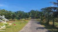 Đất Vườn Siêu Đẹp Tại Suối Tiên Diên Khánh