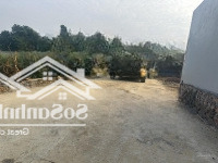 Chính Chủ Gửi Bán Em Hoa Hậu Bao Đẹp Giá Tốt Cho Nhà Đâu Tư Tại Hoà Thạch Quốc Oai Hn
