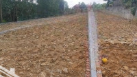 Chính Chủ Gửi Bán Em Hoa Hậu Bao Đẹp Giá Tốt Cho Nhà Đâu Tư Tại Hoà Thạch Quốc Oai Hn