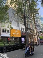 Tài Sản Thuộc Hàng Khan Hiếm Mặt Tiền Bùi Thị Xuân, Bến Thành, Quận 1 (8,4X17M) Hđt 12K.usd 130 Tỷ