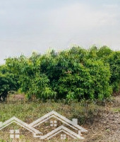 Bán 2400M Đất Lõi Phường Chũ Bắc Giang Giá Đầu Tư 0982188151