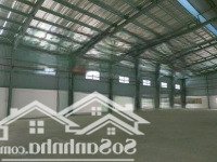 Cho Thuê Xưởng 2300M2 Làm Ó Keo & Tái Chế Hạt Nhựa Đức Hòa, Long An
