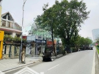 Mặt Phố Tây Hồ - Đối Diện Lotte Tây Hồ - Mặt Phố View Hồ - Kinh Doanh - Văn Phòng - Công Ty