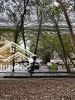 Bán Nhà Riêng La Thành, Ô Tô Tránh Vào Nhà, Mặt Sau Nhìn Sang Trường Mỹ Thuật, Thoáng Vĩnh Viễn