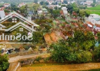 Hiếm Có Khó Tìm. 98M2 Full Thổ Cư. Tầm Nhìn View Cánh Đồng Dự Án. Hướng Sang Khu Cnc Hòa Lạc