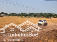 Bán Đất Nền 6000M2 Tại Hoàng Hoa, Tam Dương, Vĩnh Phúc, Chỉ Với 36,5 Tỷ Vnd