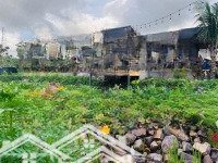 Bán Farm Diên Hoà - Diên Khánh Siêu Đẹp Cách Nha Trang 20Km Phù Hợp Nghỉ Dưỡng Chỉ 5 Tỷ