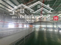 Cho Thuê Xưởng 2500M Tại Kcn Nhơn Trạch, Đồng Nai - Giá Tốt Cho Anh Chị Dệt Nhuộm.