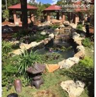 ⭐Cho thuê lại nhà hàng PHÚ CẢNH GIA – CHIM TO DẦN TP.Pleiku, Gia Lai, 0976962985