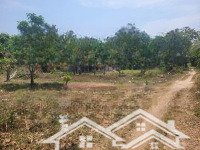 5X42M Có 55M2 Thổ Cư. Gần Trường Học. 290 Triệu