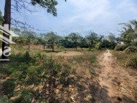 5X42M Có 55M2 Thổ Cư. Gần Trường Học. 290 Triệu