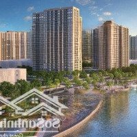 Shophoues Tại The Beverly Solari Ck Lên Tới 36.5% ,Htls 36 Tháng, Chỉ Cần Thanh Toán 3 Tỷ Nhận Nhà