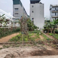 Đất Dịch Vụ Lại Yên, Hoài Đức, Vỉa Hè Ô Tô Tránh, Sát Trường Thcs,Diện Tích150M, Mt7,93M, Nhỉnh 13 Tỷ