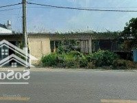 Bán Đất Đối Diện Chợ Chiều Tân Thạnh Đông Củ Chi, 343M2, 1,5Tỷ