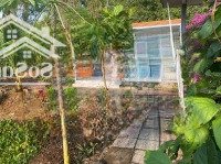 Chính Chủ Bán Nhanh Nhà Vườn Gần Hồ Đá Bàng ( 1 Sào) - Không Gian Xanh Mát, Sở Hữu Ngay