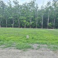 110m2 thổ cư ngay gần cổng KCN Phước Đông 3200ha. 565tr