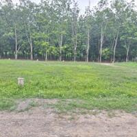 110m2 thổ cư ngay gần cổng KCN Phước Đông 3200ha. 565tr