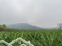 Chính Chủ Nhờ Bán Lô Đất Nghỉ Dưỡng Tại Yên Bài, Ba Vì, Hà Nội, Giá 6, 3 Triệu/M2. Liên Hệ: 0969438926