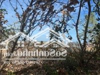 Bán Gần 4000M2 Đất Nền Đường Đông Đảo, Hàm Ninh, Tp Phú Quốc, Tỉnh Kiên Giang