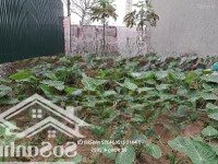 Tuyệt Phẩm Long Biên, Đất Xây Nhà Định Cư Phường Ngọc Thụy, Ngay Cạnh Khai Sơn