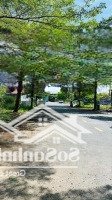Cần Bán Lô Đất 4X12,5M Giá Chỉ 3,6 Tỷ Tại Hẻm 78 Dự Án Việt Phát, Bưng Ông Thoàn, Quận 9