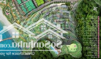 Quỹ Độc Quyền Studio Tầng Cao 18, 22, 23 View Biển Xanh Island Cát Bà