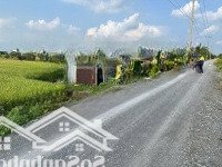 6Mẫu4 Đất Tân Thành Thủ Thừa. Có Sẵn Điện 3 Pha, Đường Xe Tải Xe Cont Chạy, Tiện Làm Xưởng, Kho