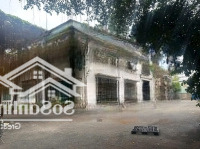 Cho Thuê Kho Xưởng Giá Rẻ 6.500M2 Đường Nhánh Quốc Lộ 1A Gần Cầu An Sương