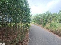 Bán Đất 1500M2, 6,4 Tỷ Tại Xã Long An, Long Thành, Đồng Nai