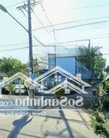 42M Mặt Tiền Đường Nhựa, 3500M2 Phủ Hồng Ở An Linh, Kẹt Tiền Bán Gấp Lắm 650 Triệu/S, Chính Xác 100%