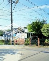 42M Mặt Tiền Đường Nhựa, 3500M2 Phủ Hồng Ở An Linh, Kẹt Tiền Bán Gấp Lắm 650 Triệu/S, Chính Xác 100%