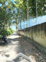 42M Mặt Tiền Đường Nhựa, 3500M2 Phủ Hồng Ở An Linh, Kẹt Tiền Bán Gấp Lắm 650 Triệu/S, Chính Xác 100%
